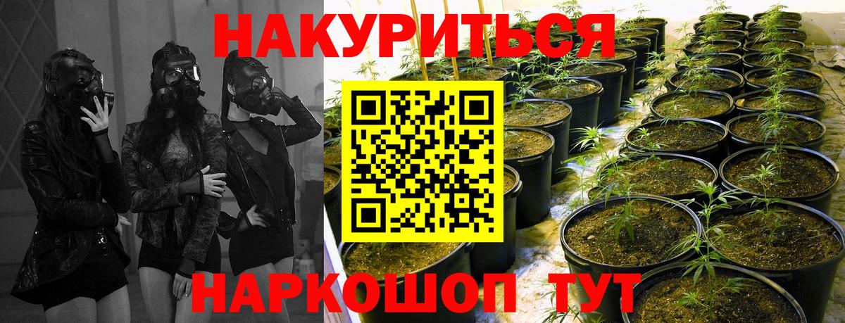 Конопля AK-47 Томск